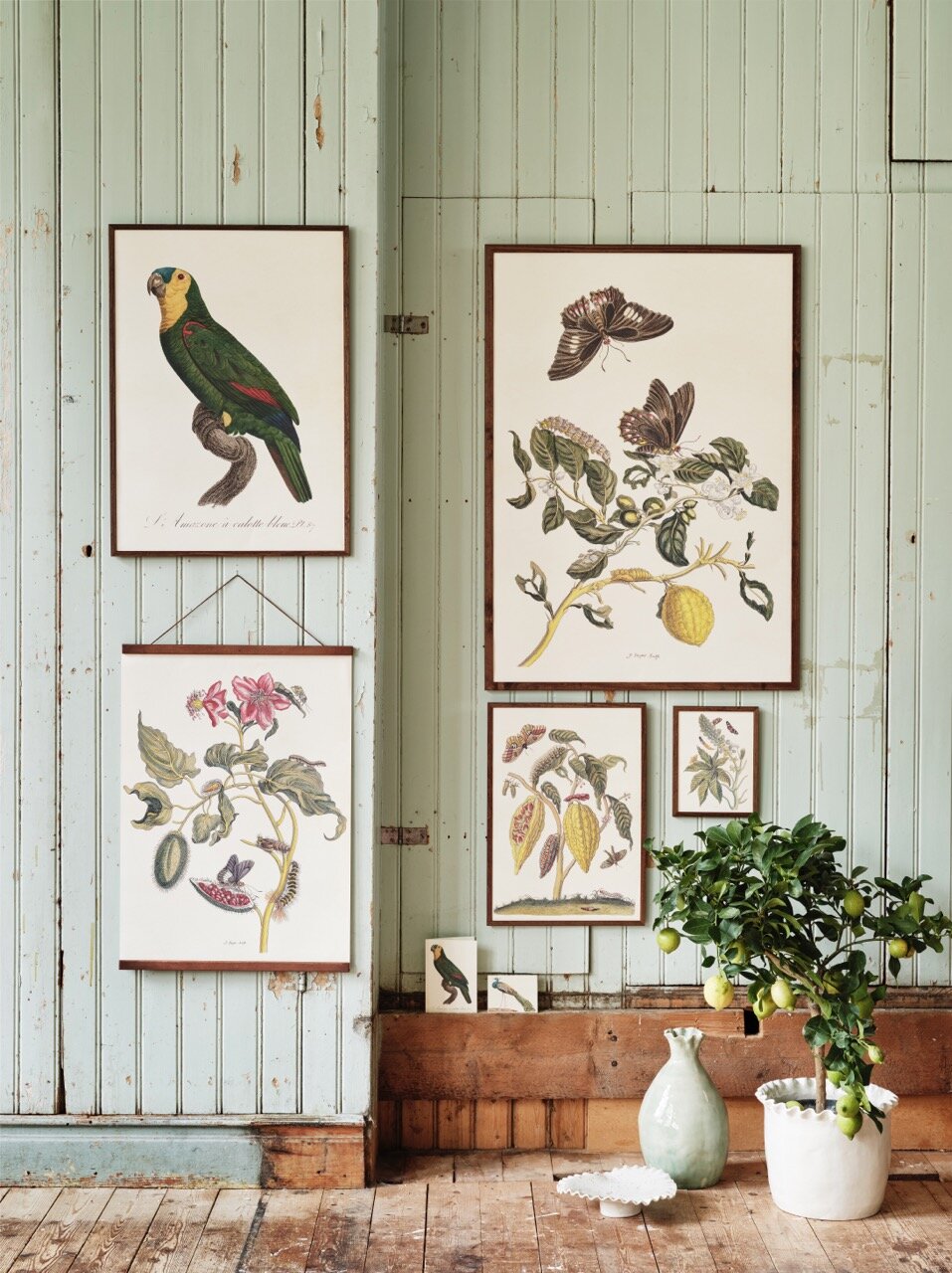 Poster Fjärilar & Annattoträd