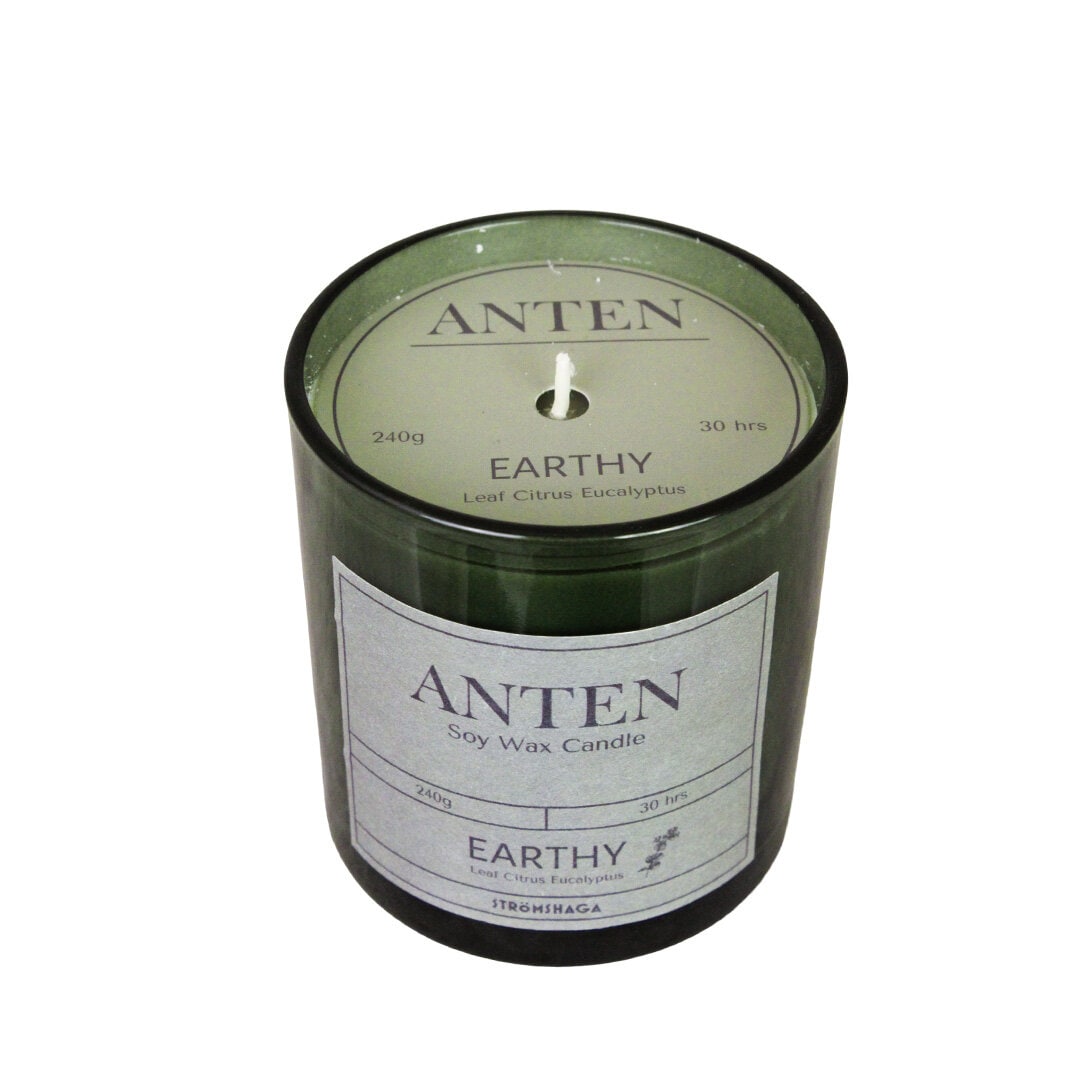 Doftljus Anten Earthy