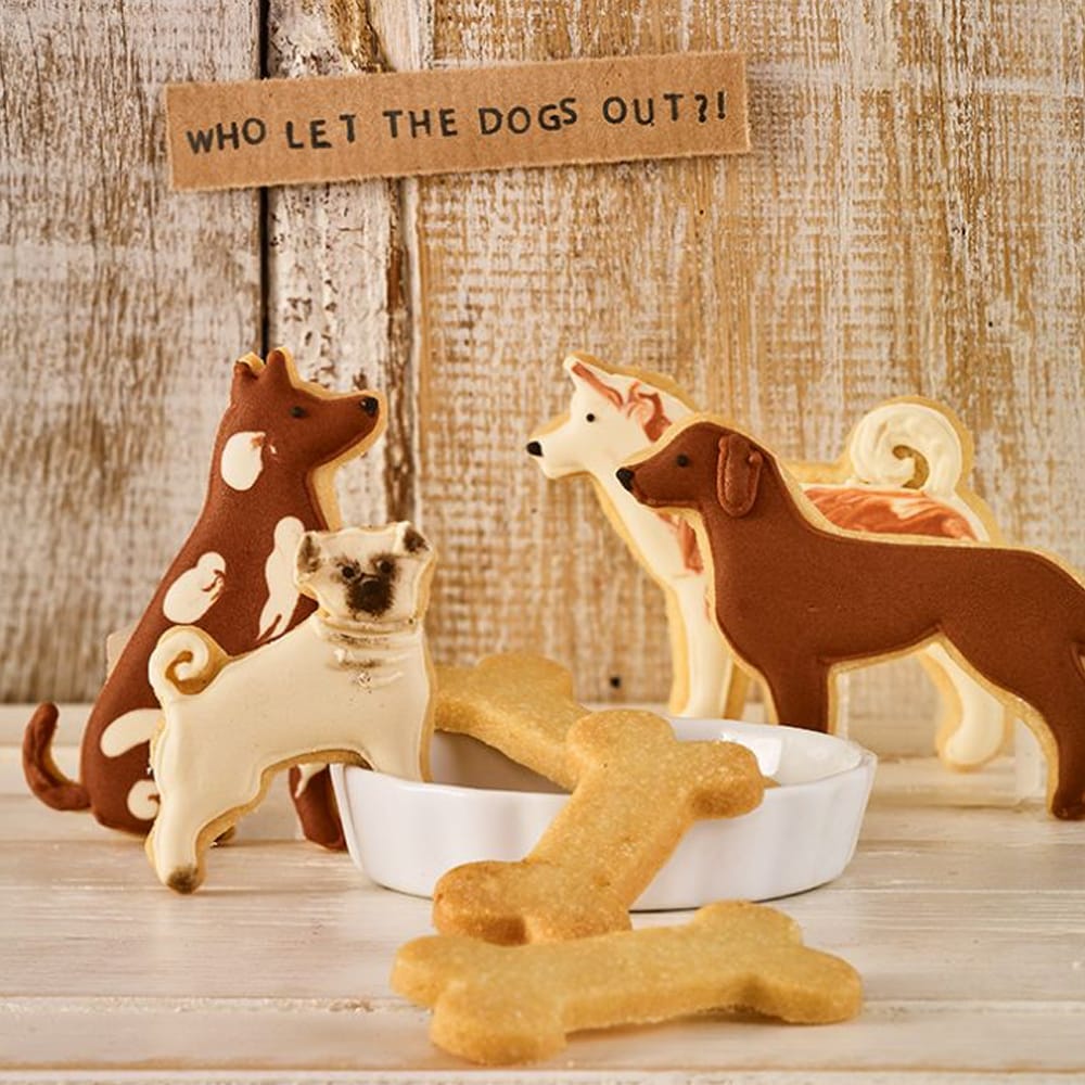 Kakmått Hund Retriever