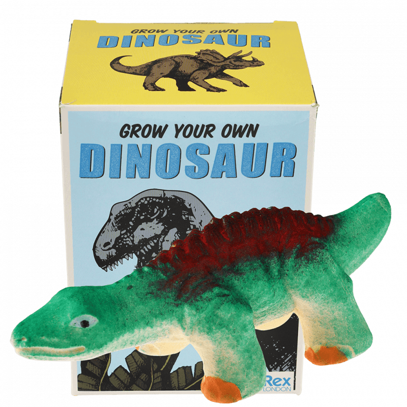 Kläckande Ägg Dinosaurie