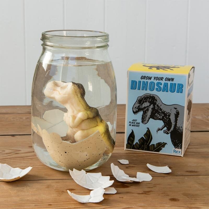 Kläckande Ägg Dinosaurie