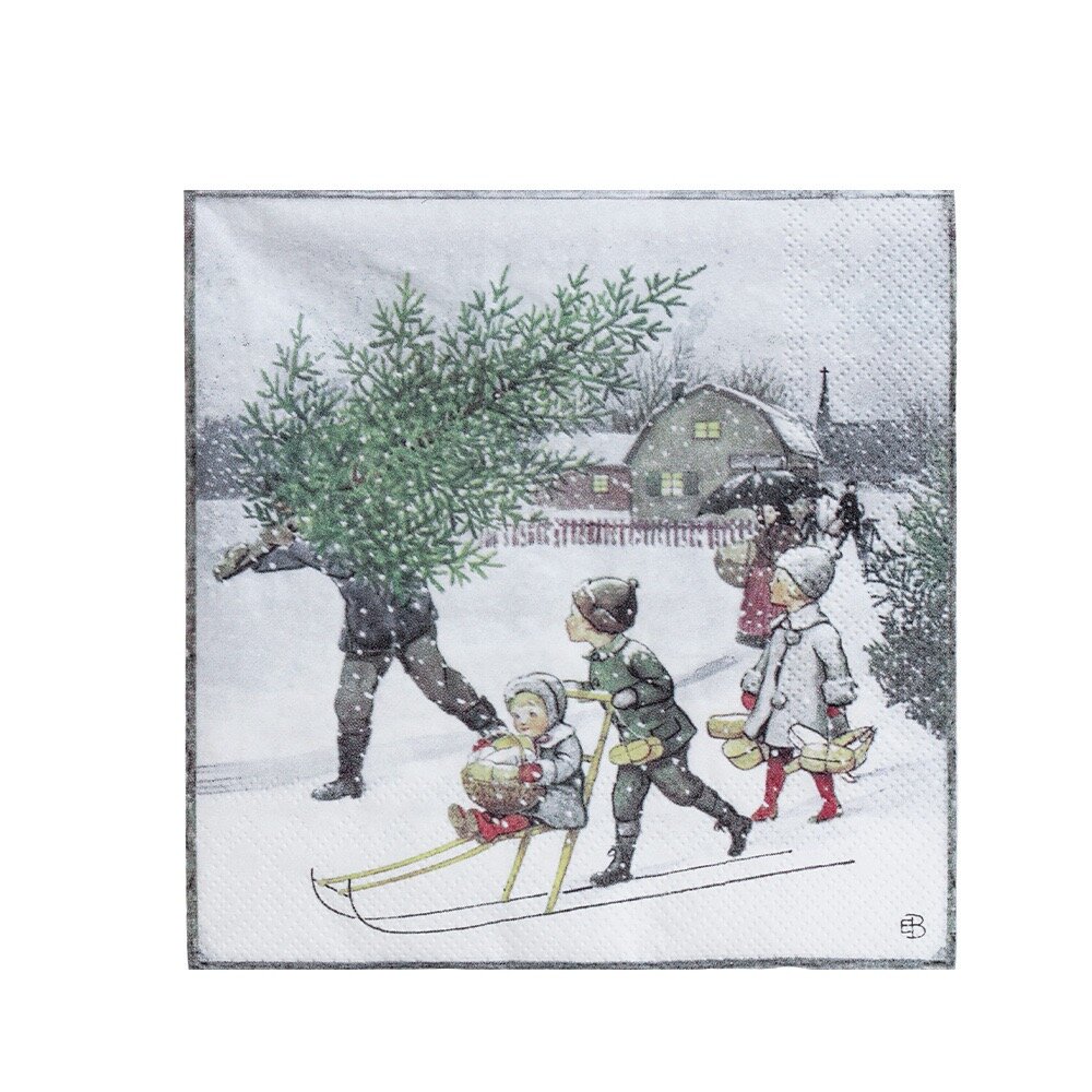 Pappersservett Elsa Hem Till Jul