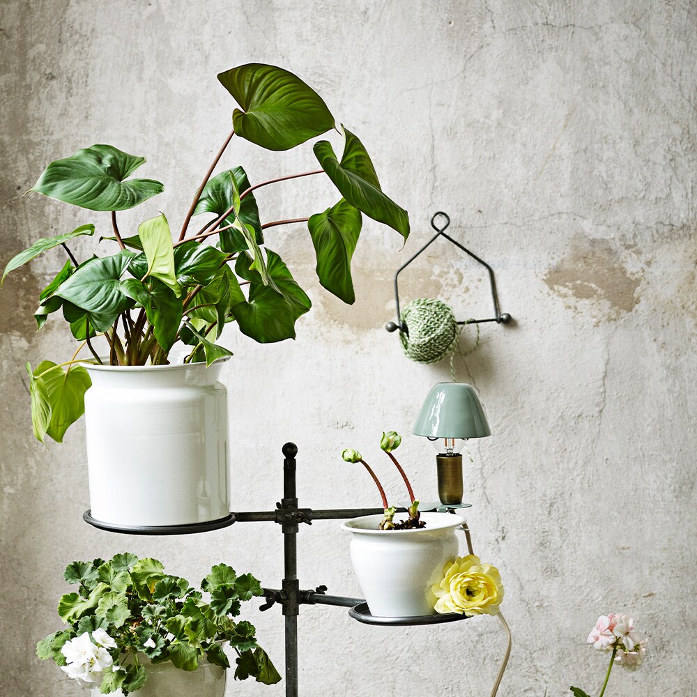 Lampa Mini På Klämma Grön