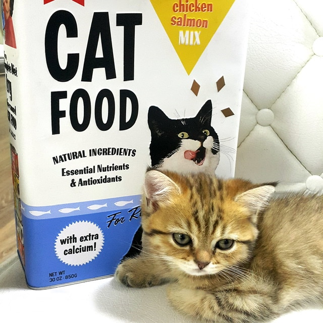 Plåtburk Cat Food Hög