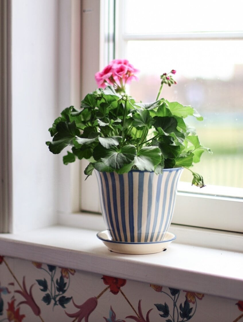 Kruka Miriam 16 cm Blå