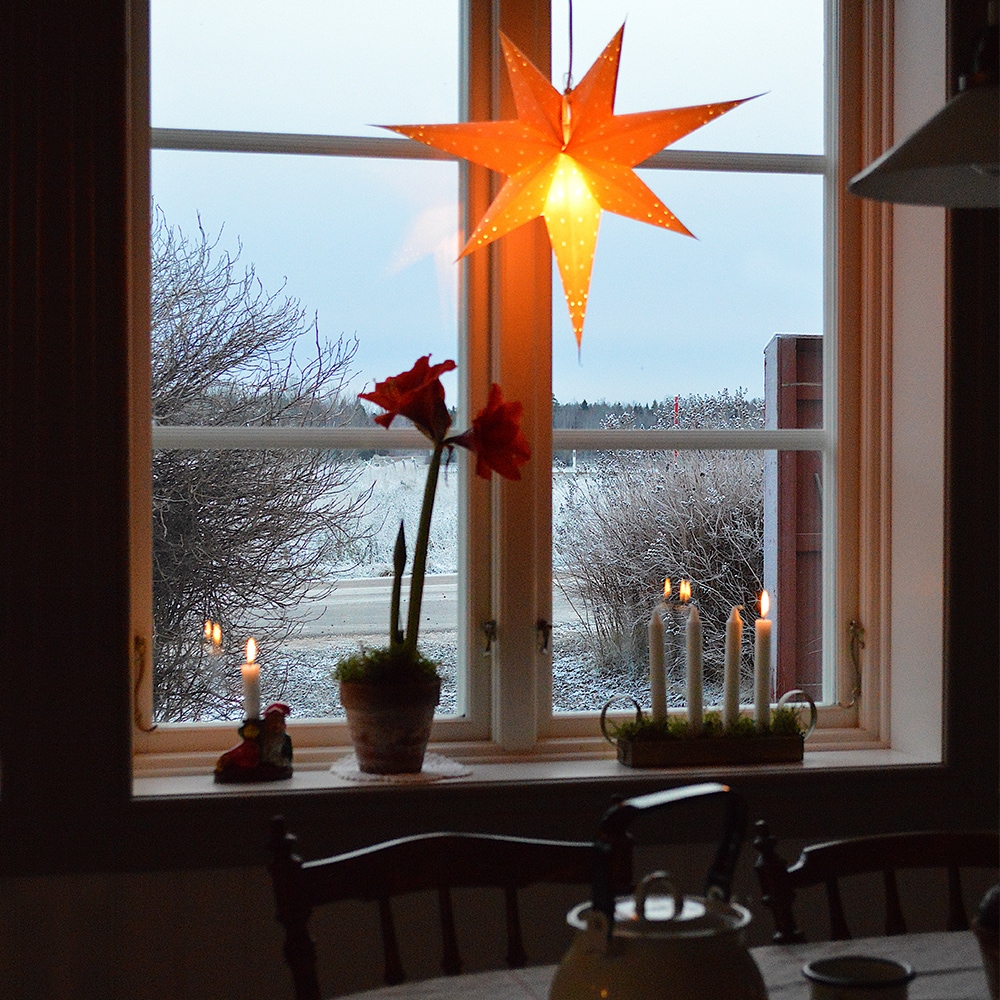 Adventsstjärna Orange