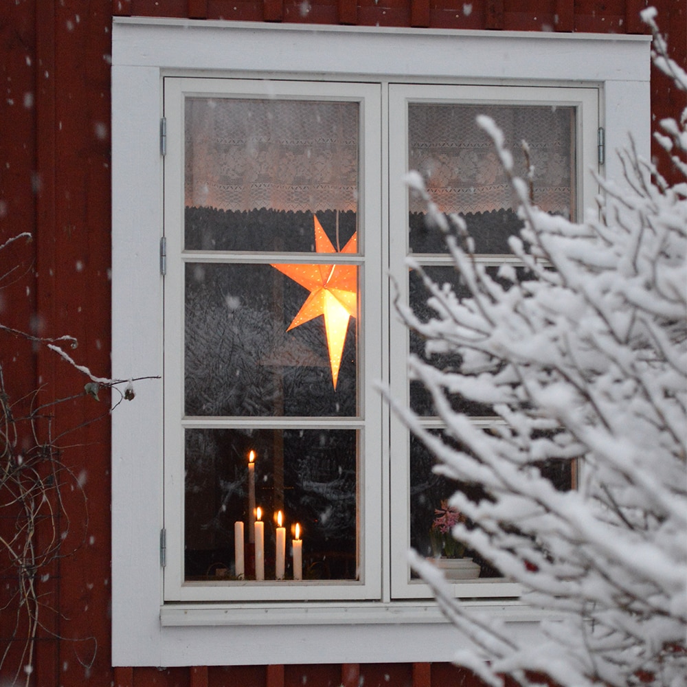 Adventsstjärna Orange