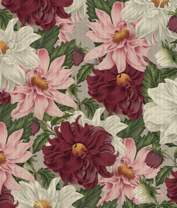 Disktrasa Blomstrande Dahlia