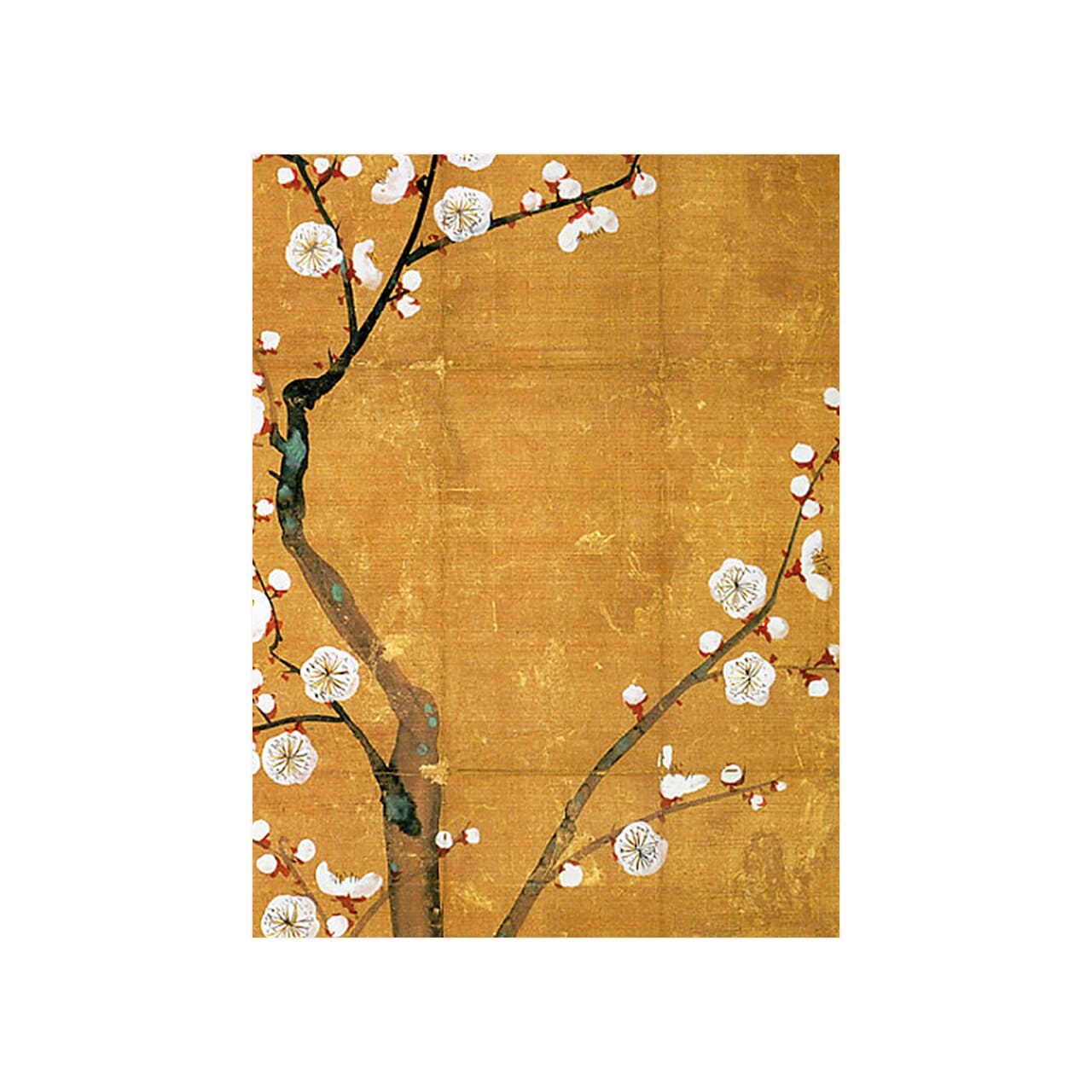 Poster Japanskt Plommonträd 