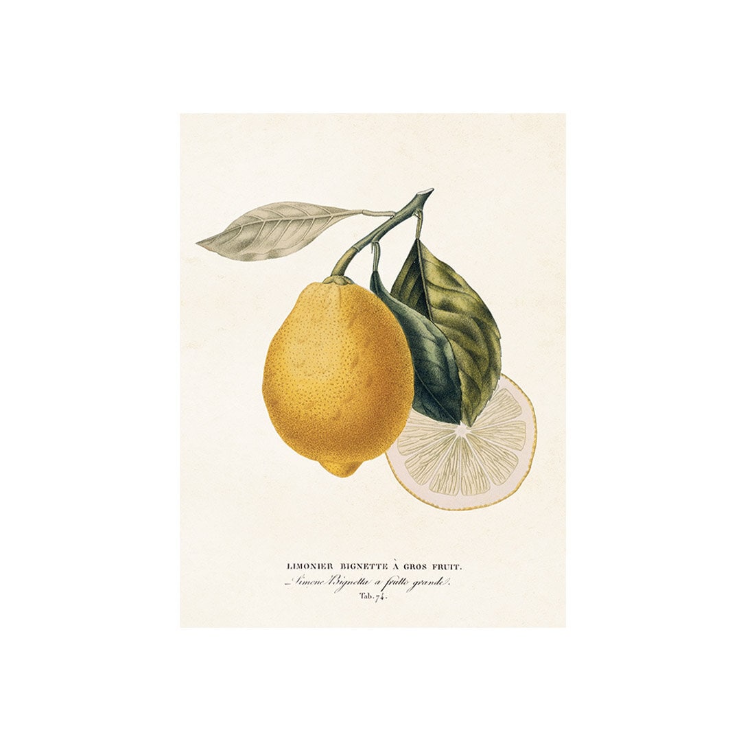 Poster Limone