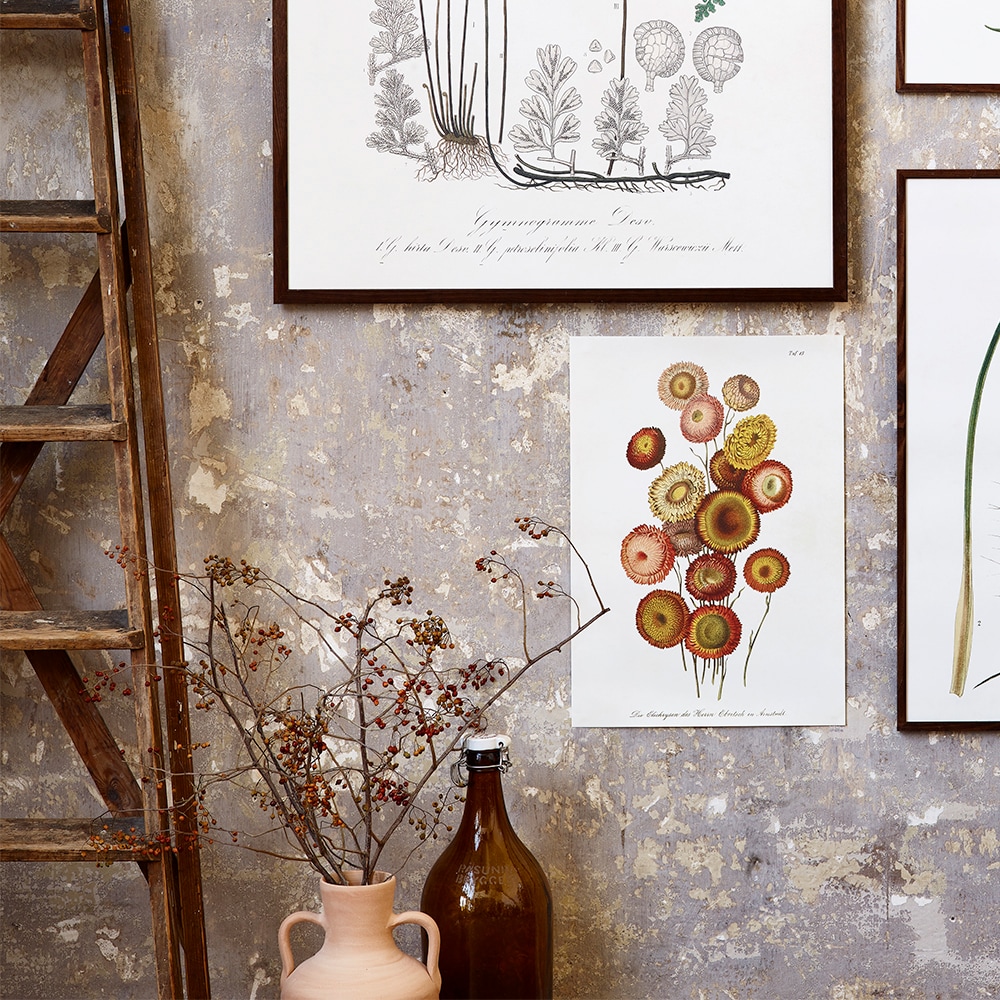 Poster Hedblomster