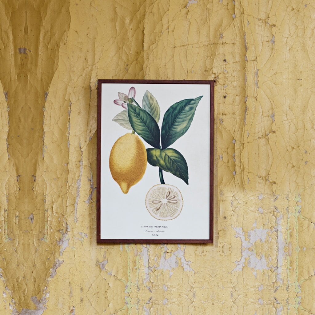 Poster Citron