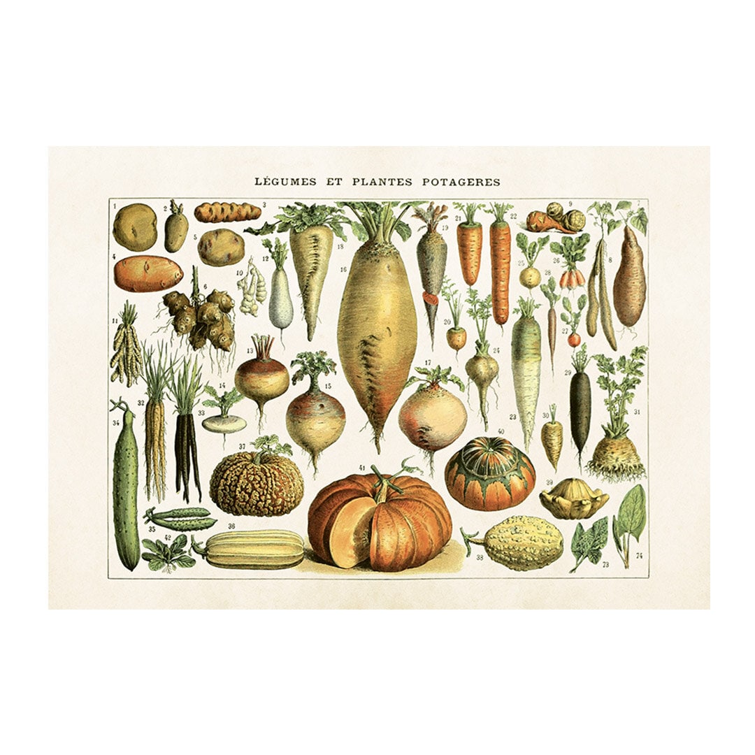 Poster Vegetables Mellan