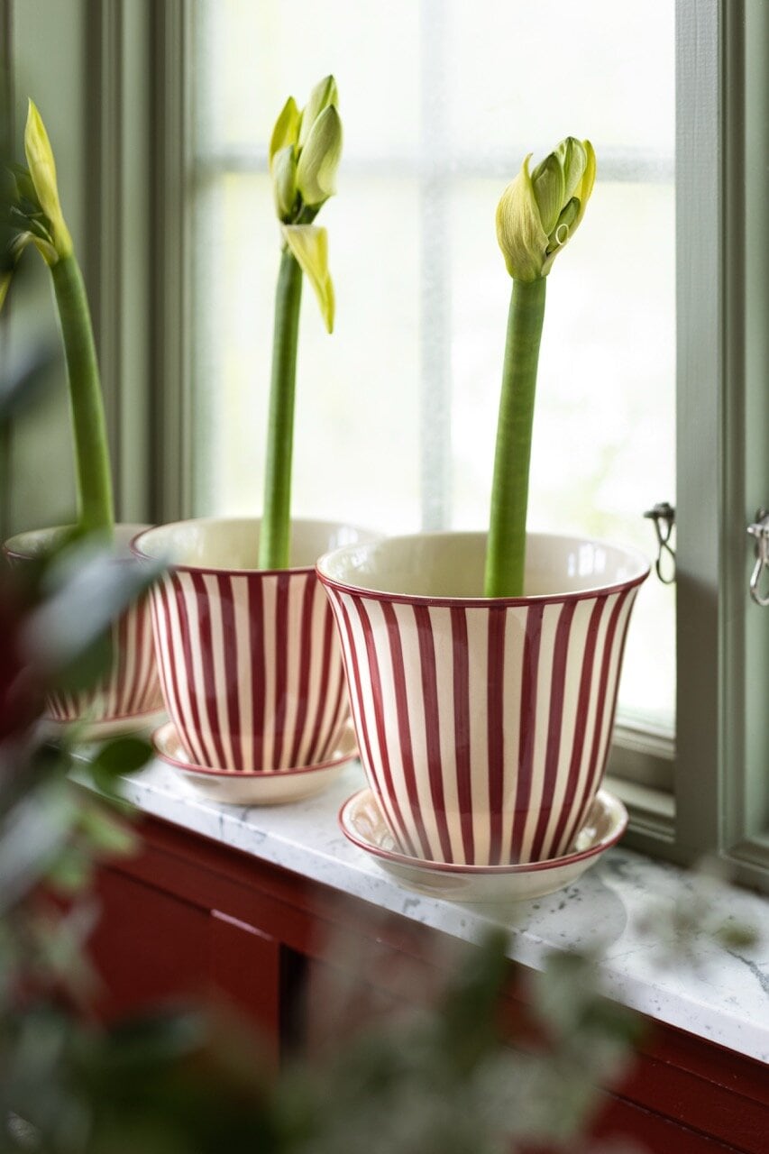 Kruka Miriam 22 cm Röd