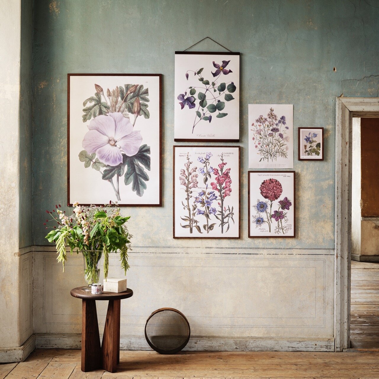 Poster Gilia